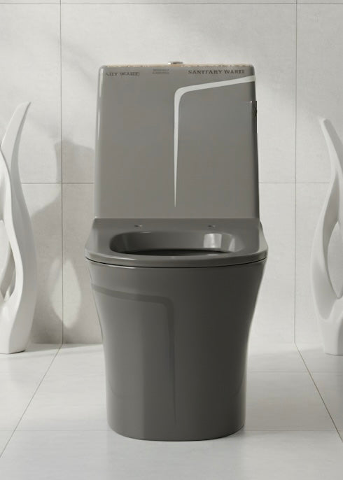 ONE PIECE CHARCOAL GRAY with PP Cover by Trucera